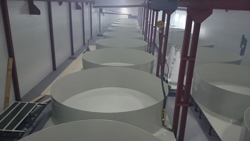 epitoanyag-center24189822