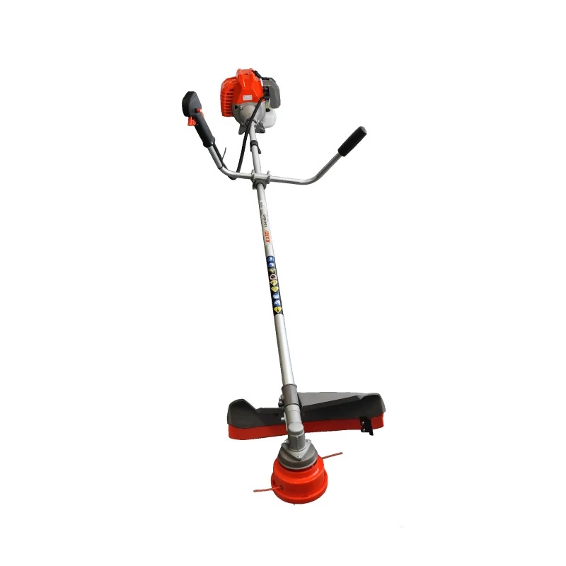 lubeka-kert-4429426