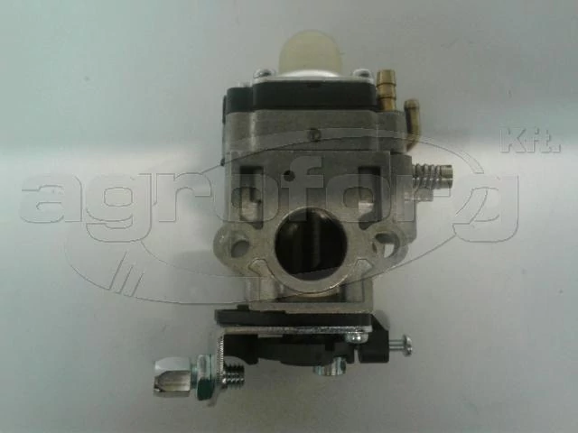 lubeka-kert-4439329