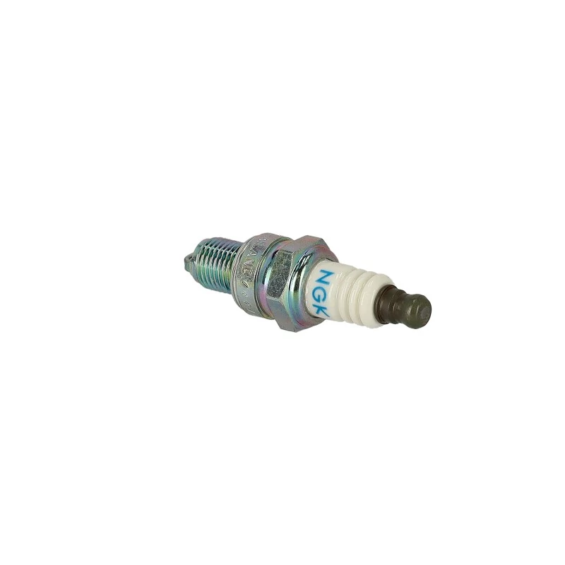 lubeka-kert-4470539