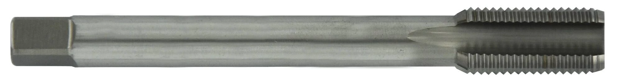 perfor-4340021