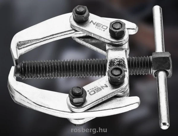 rosberg-4424805