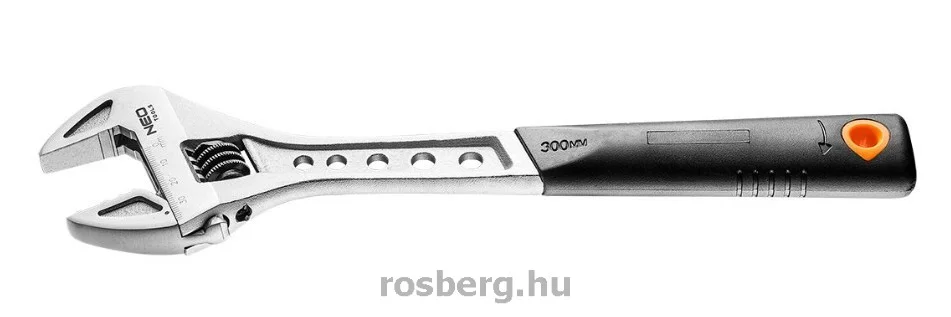rosberg-4441441
