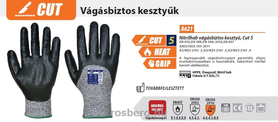 rosberg-4462236