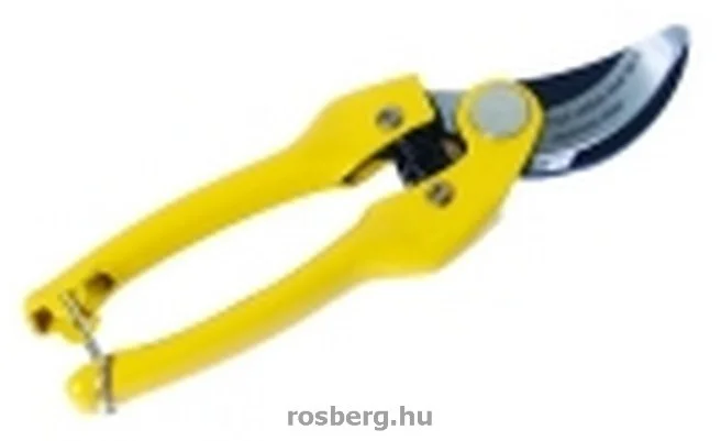 rosberg-4480723