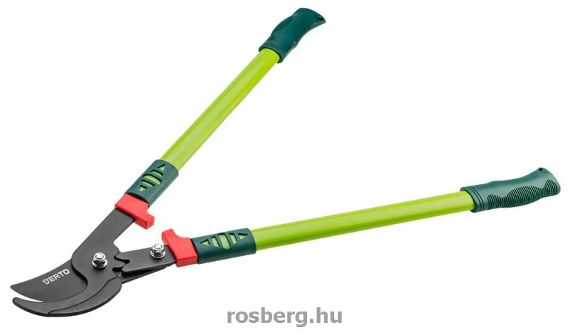 rosberg-4485279
