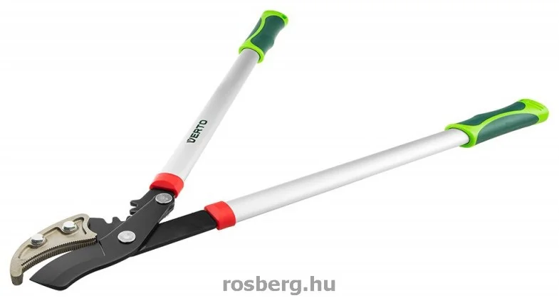 rosberg-4485306