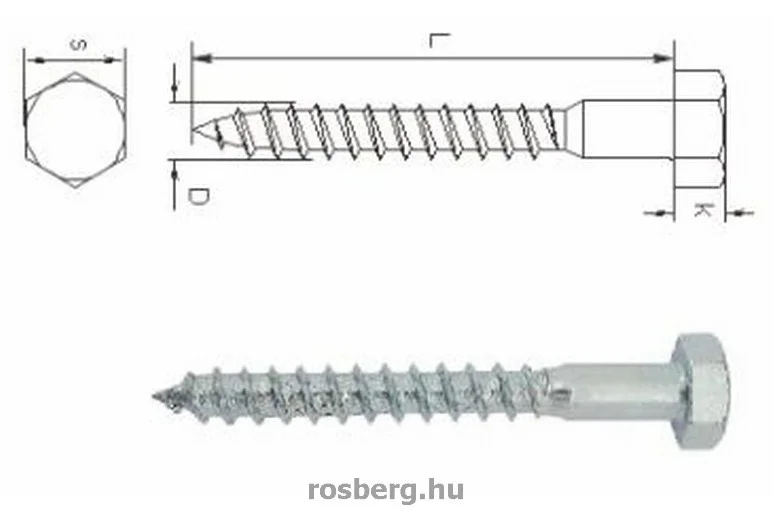 rosberg-4485498