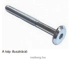 rosberg-4487050