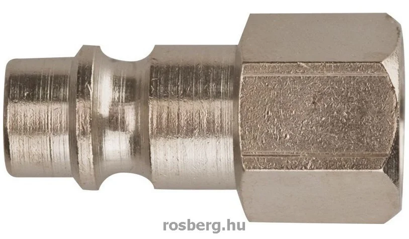 rosberg-4493491