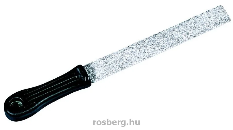 rosberg-4504551