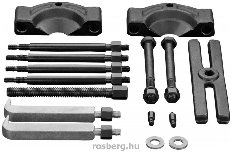 rosberg-4508444