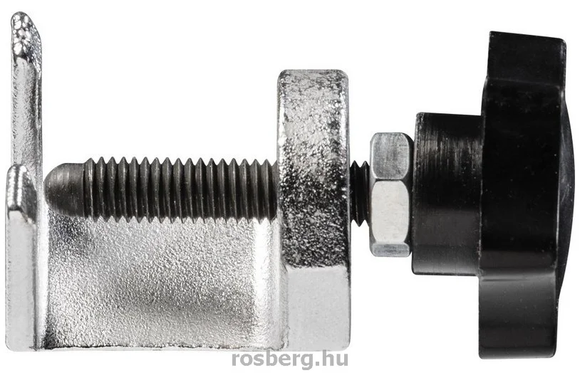 rosberg-4508475