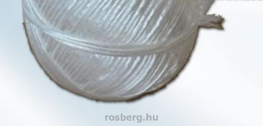 rosberg-4511966